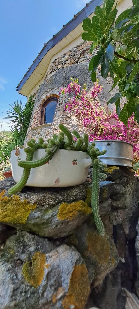 Bed & Breakfast L' antica macina foto 6