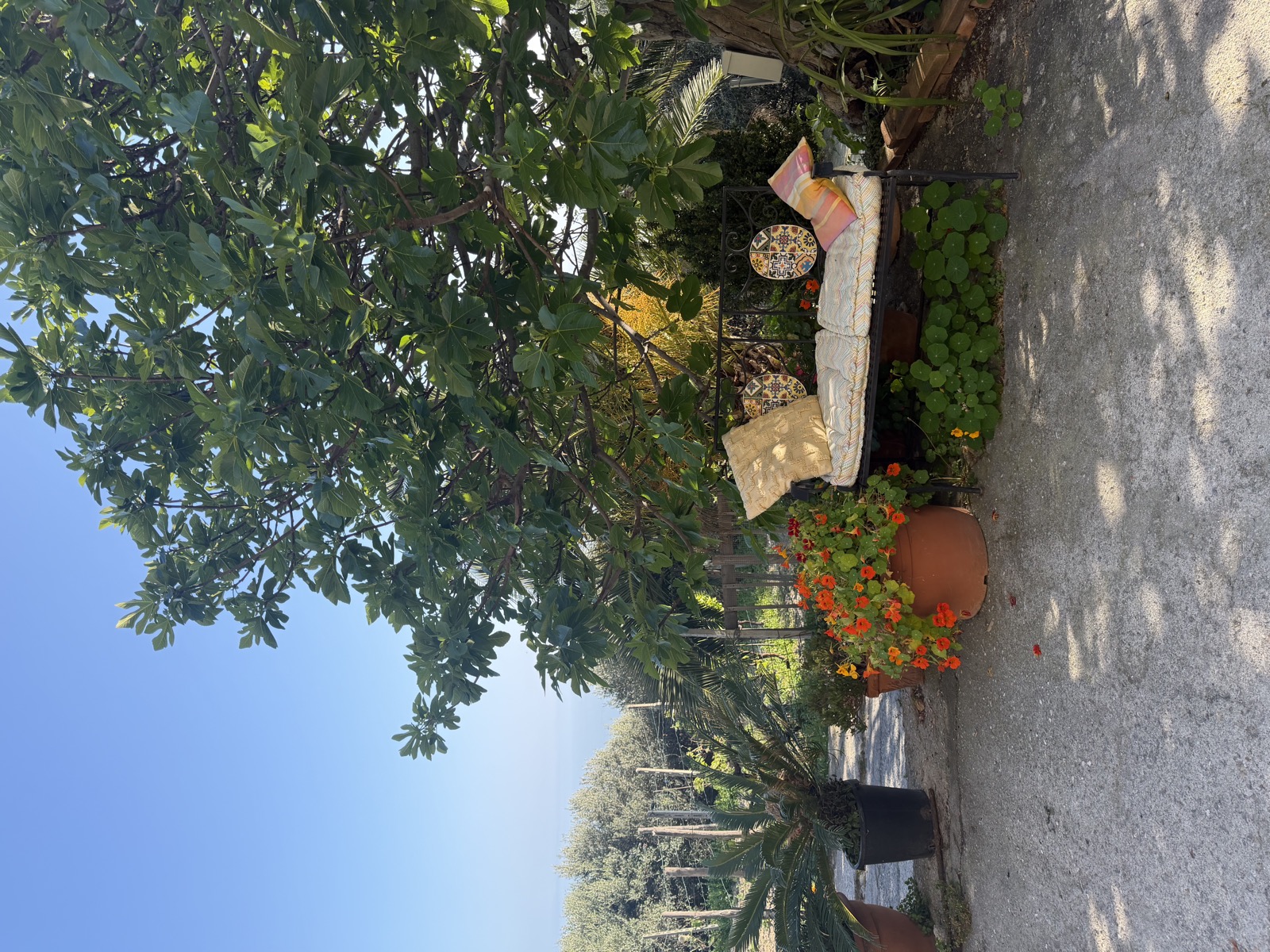 Agriturismo La Selva foto 5