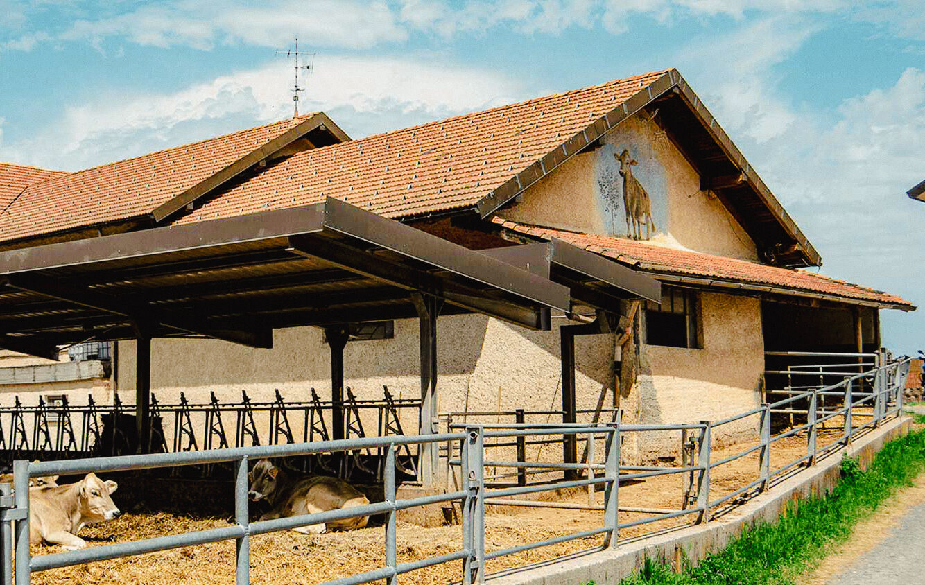 Azienda Agricola Lavagè foto 6