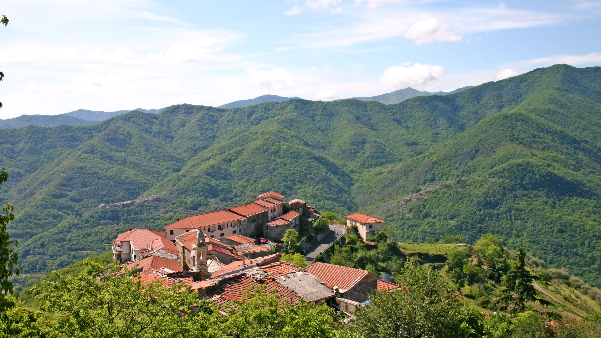 AGRITURISMO LA FATTORIA foto 1