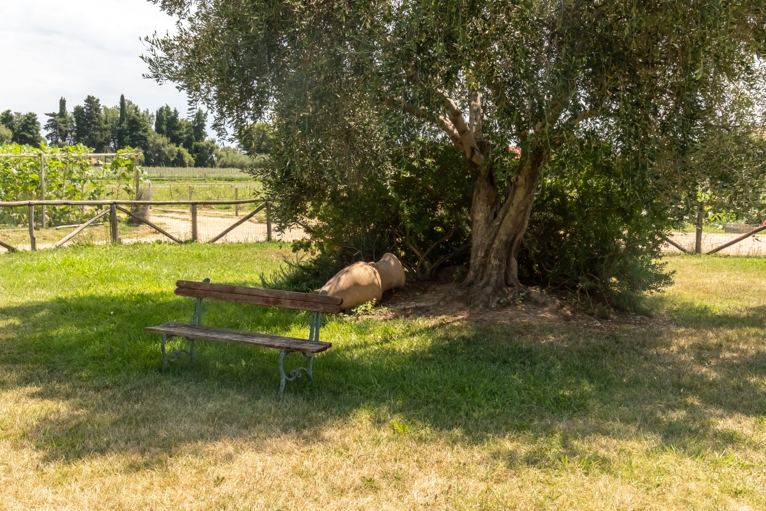 Nonna Litta foto 4