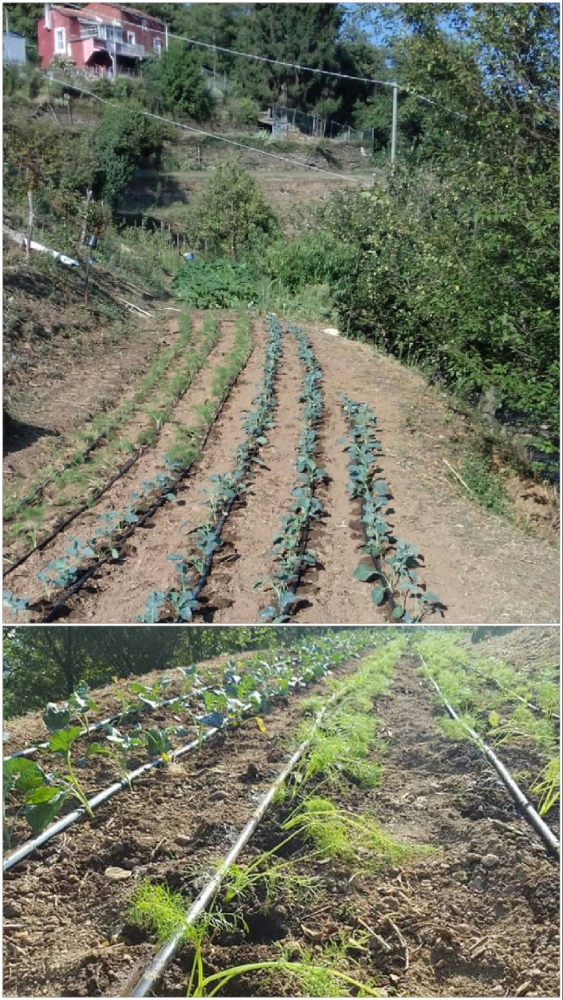 Agriturismo "La tana degli orsi" foto 1