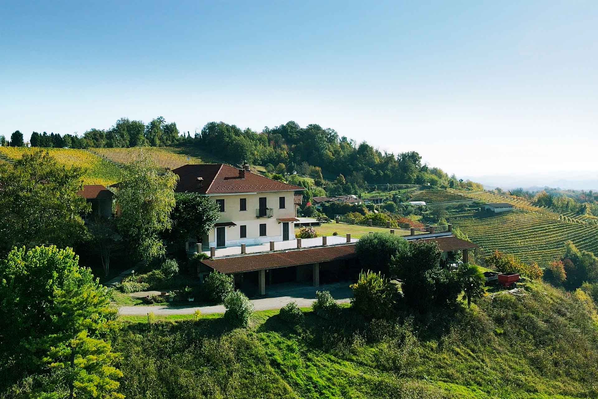 Azienda Agricola Pianfiorito foto 3