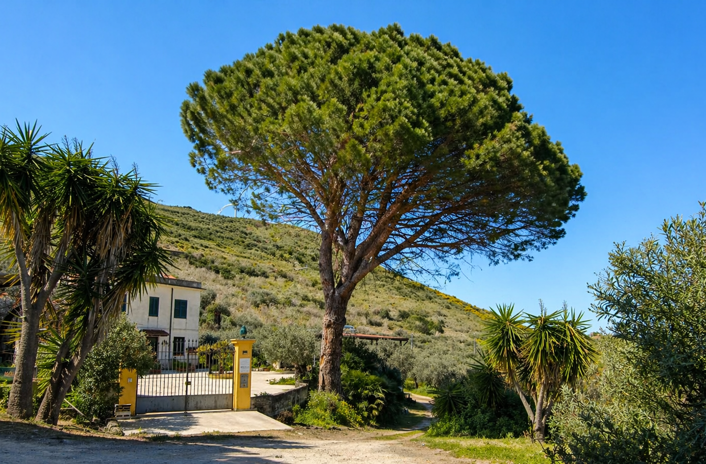 Agriturismo Mariscò - Farm Stay in Sicily foto 1