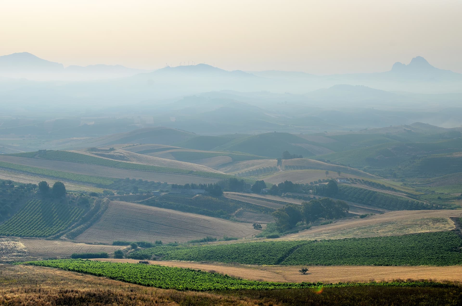 Agriturismo Antichi Granai foto 1