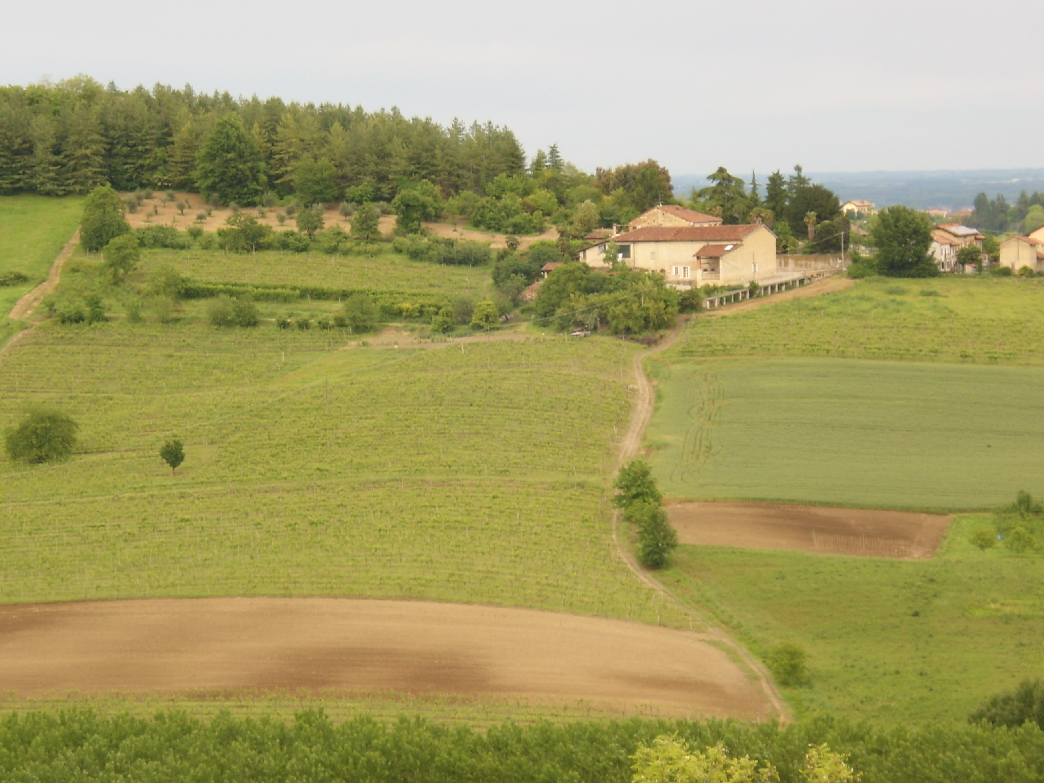 Cascina Montalbano foto 1