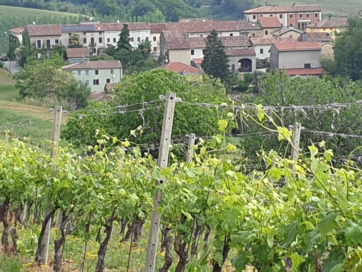 B&B L' Angolo Fiorito foto 3
