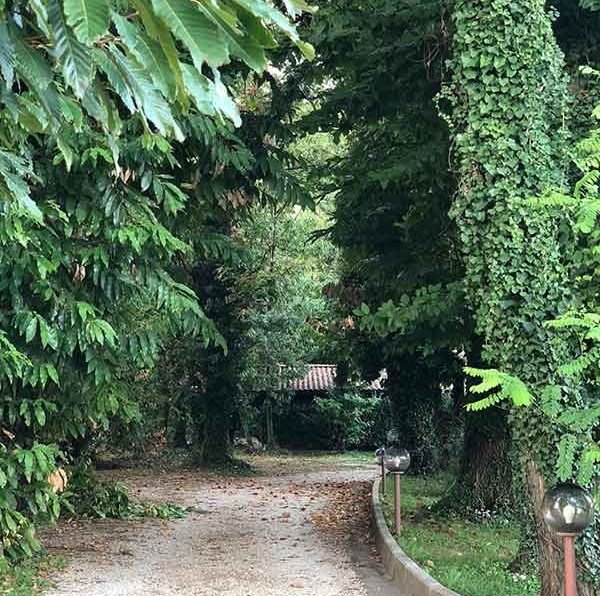 Ristorante Il Castagneto - foto 17