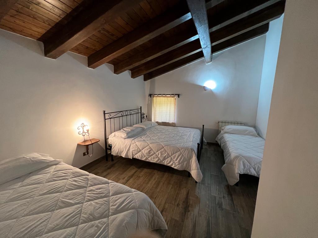 Agriturismo il Vignale foto 4