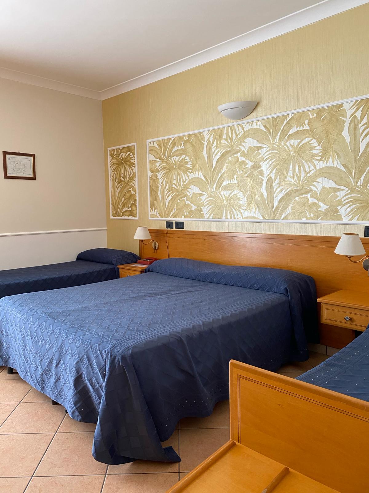 Lion's Hotel foto 1