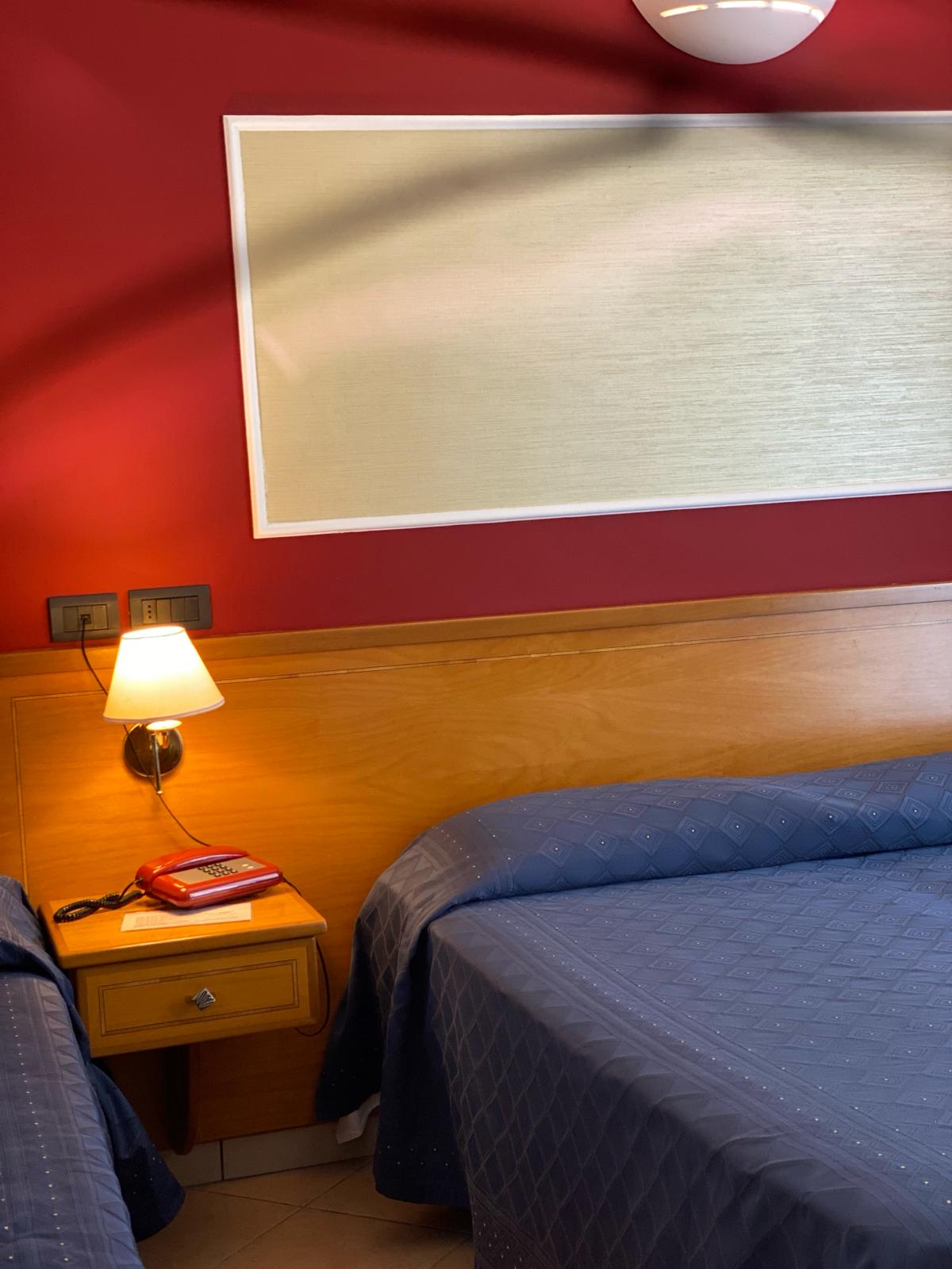 Lion's Hotel foto 3