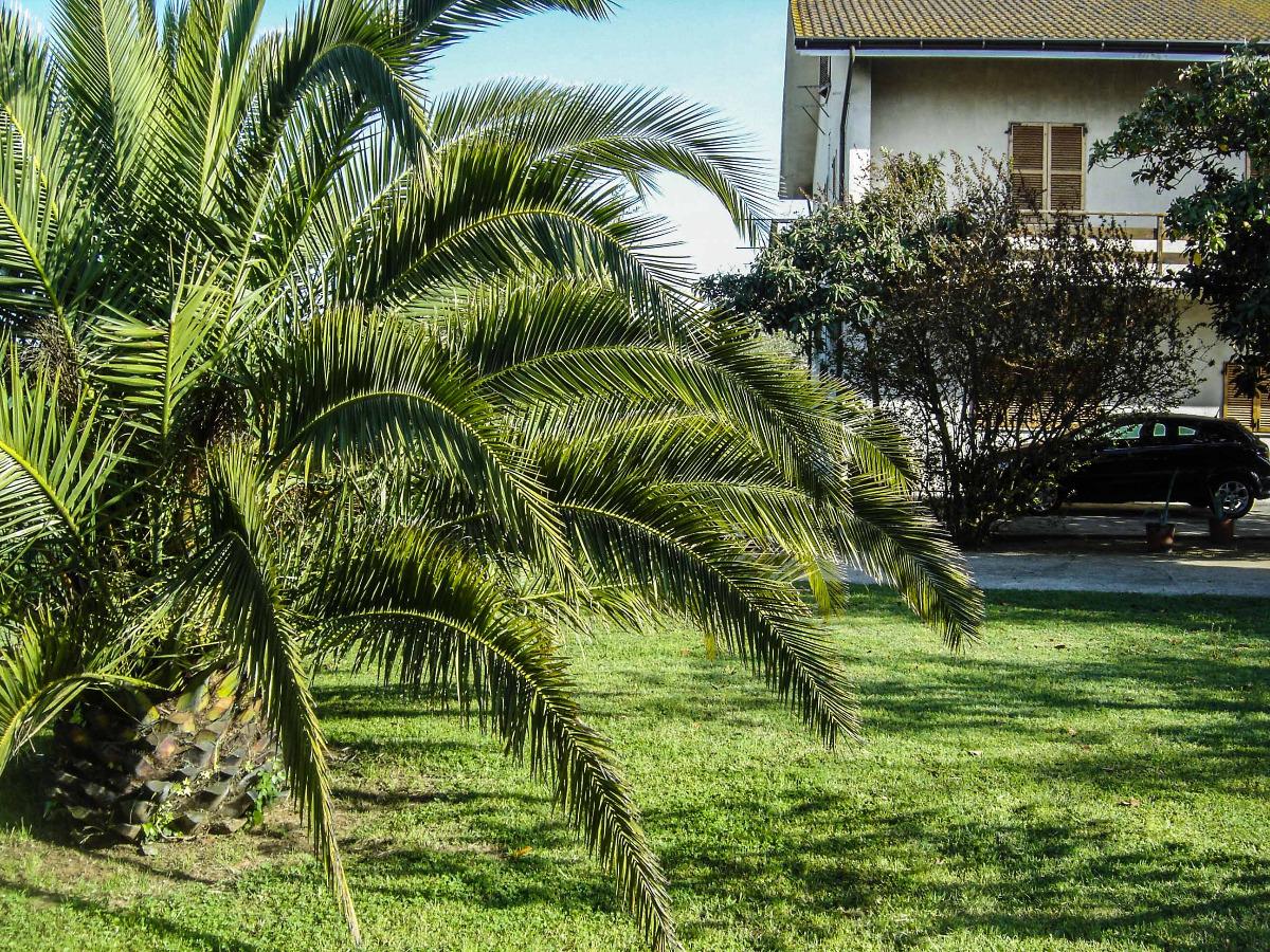 Il Boschetto B&B foto 1