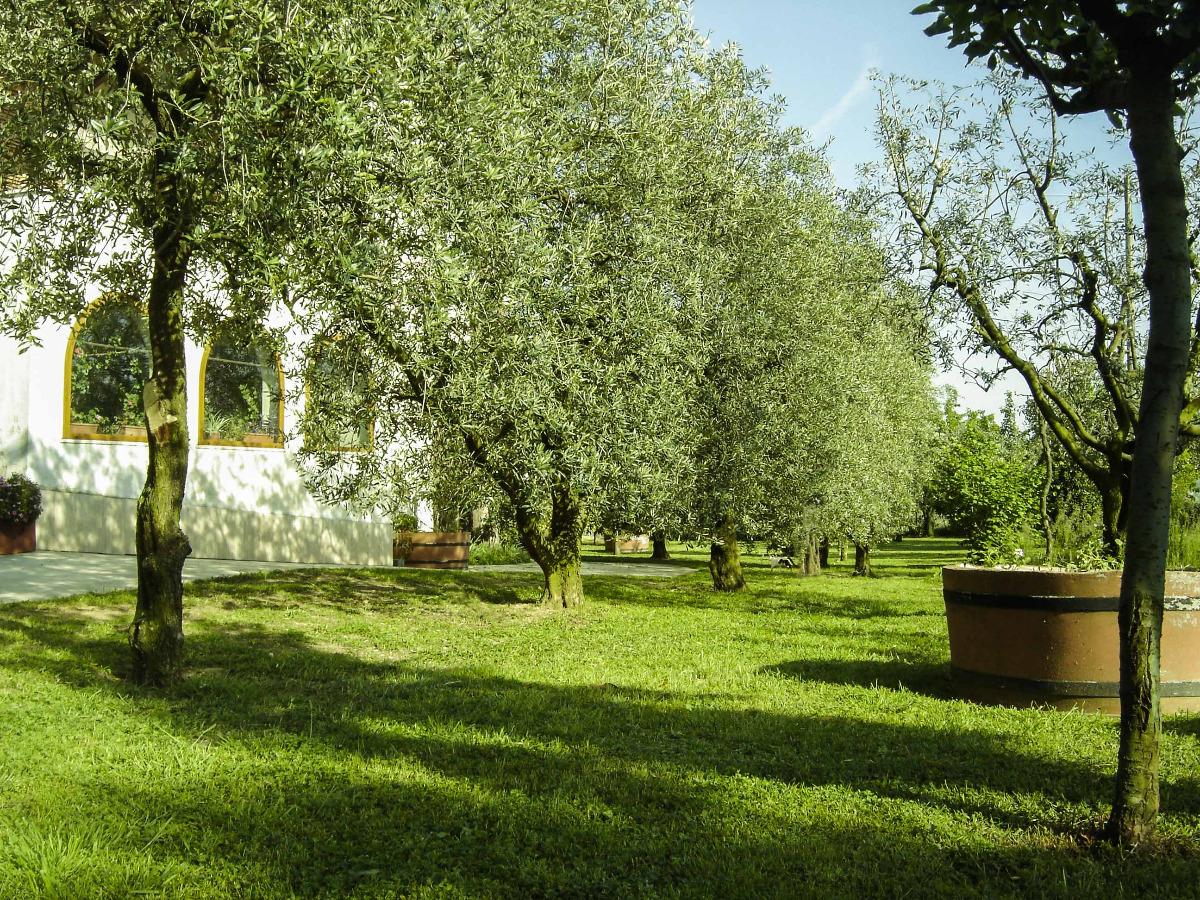 Il Boschetto B&B foto 2