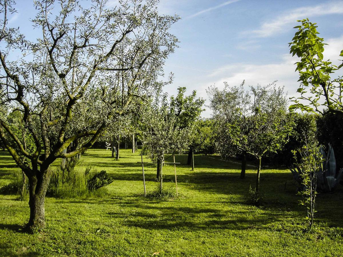 Il Boschetto B&B foto 3