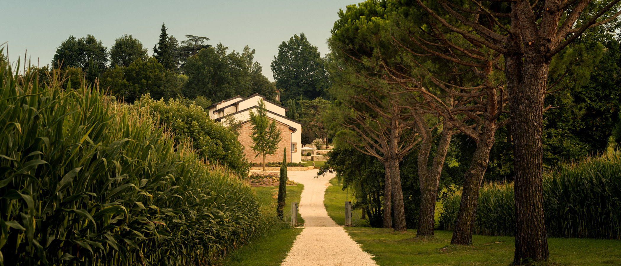 Agriturismo Maddalene 101 foto 6