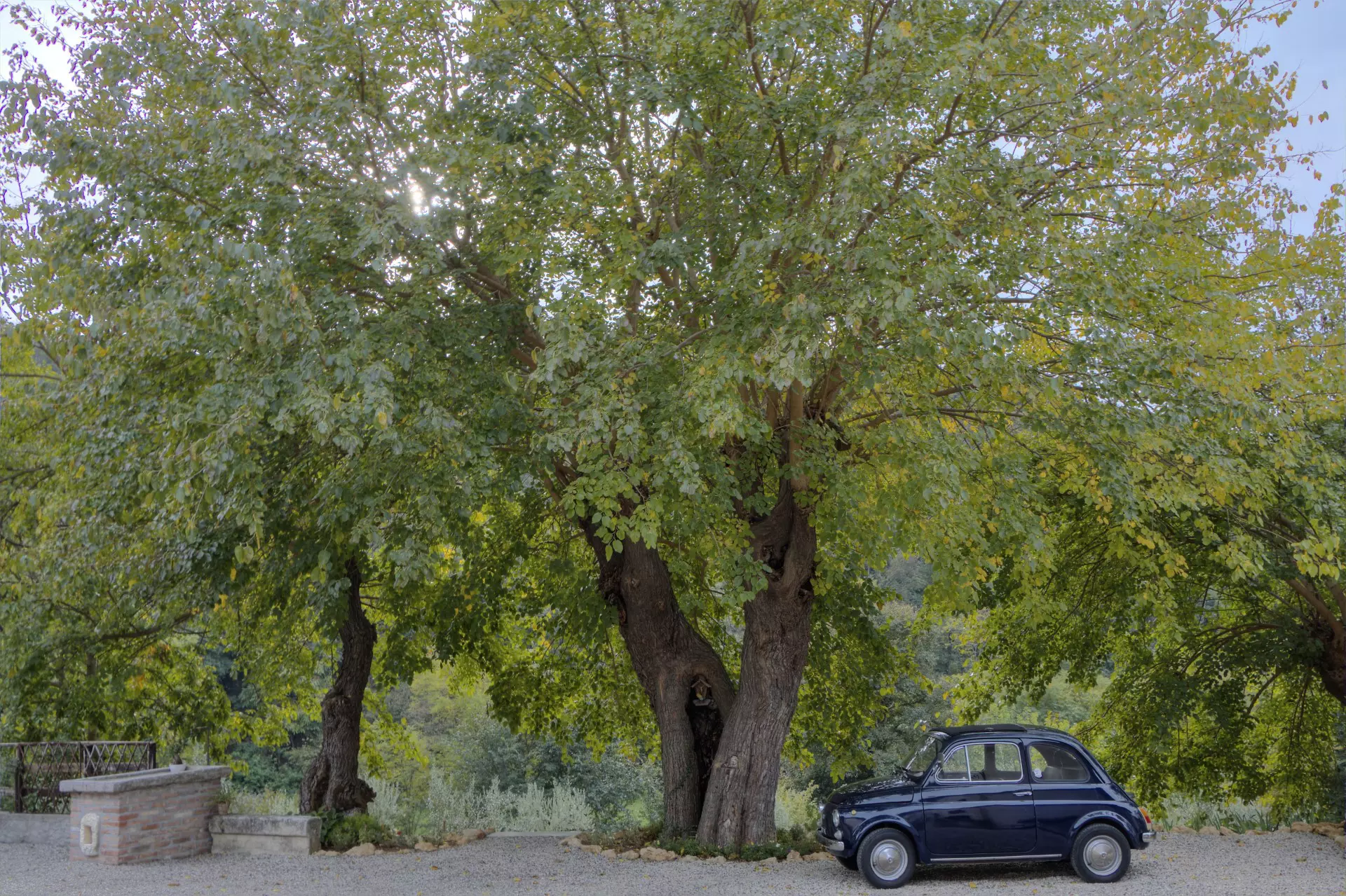 B&B “La Corte dei Gelsi” foto 2