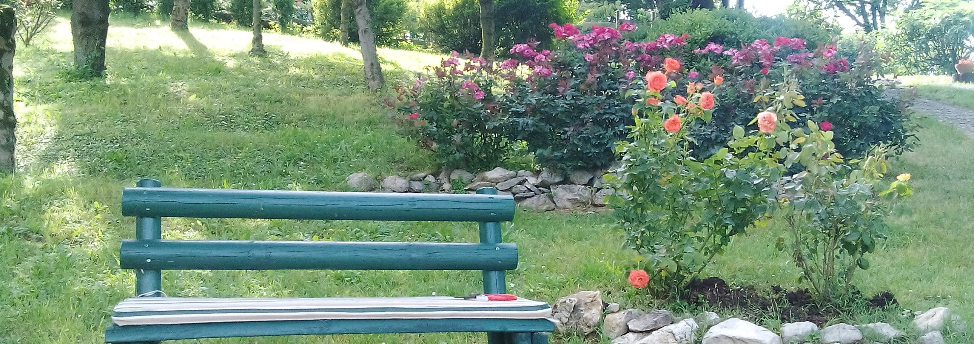 B&B Il Suono del Bosco foto 3