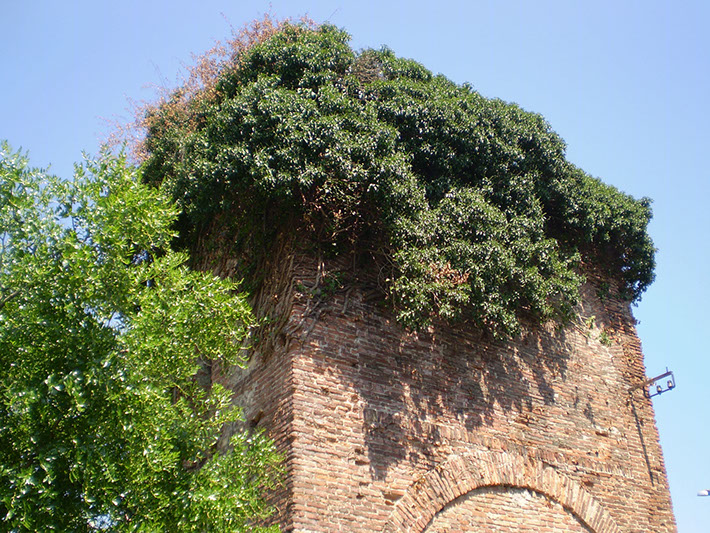 B&B Alle Mura foto 4