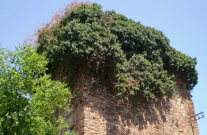 B&B Alle Mura foto 5