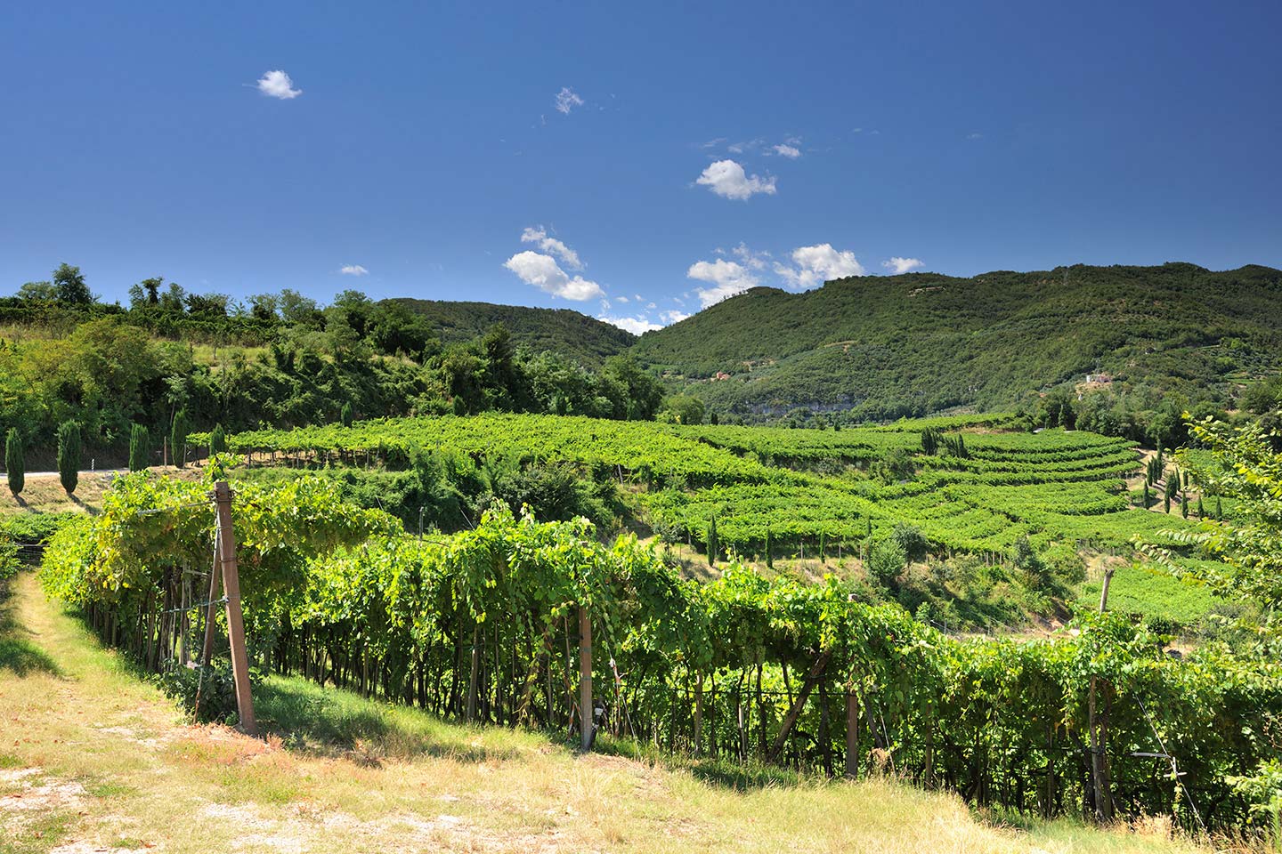 Bed & Breakfast Da Berno foto 3