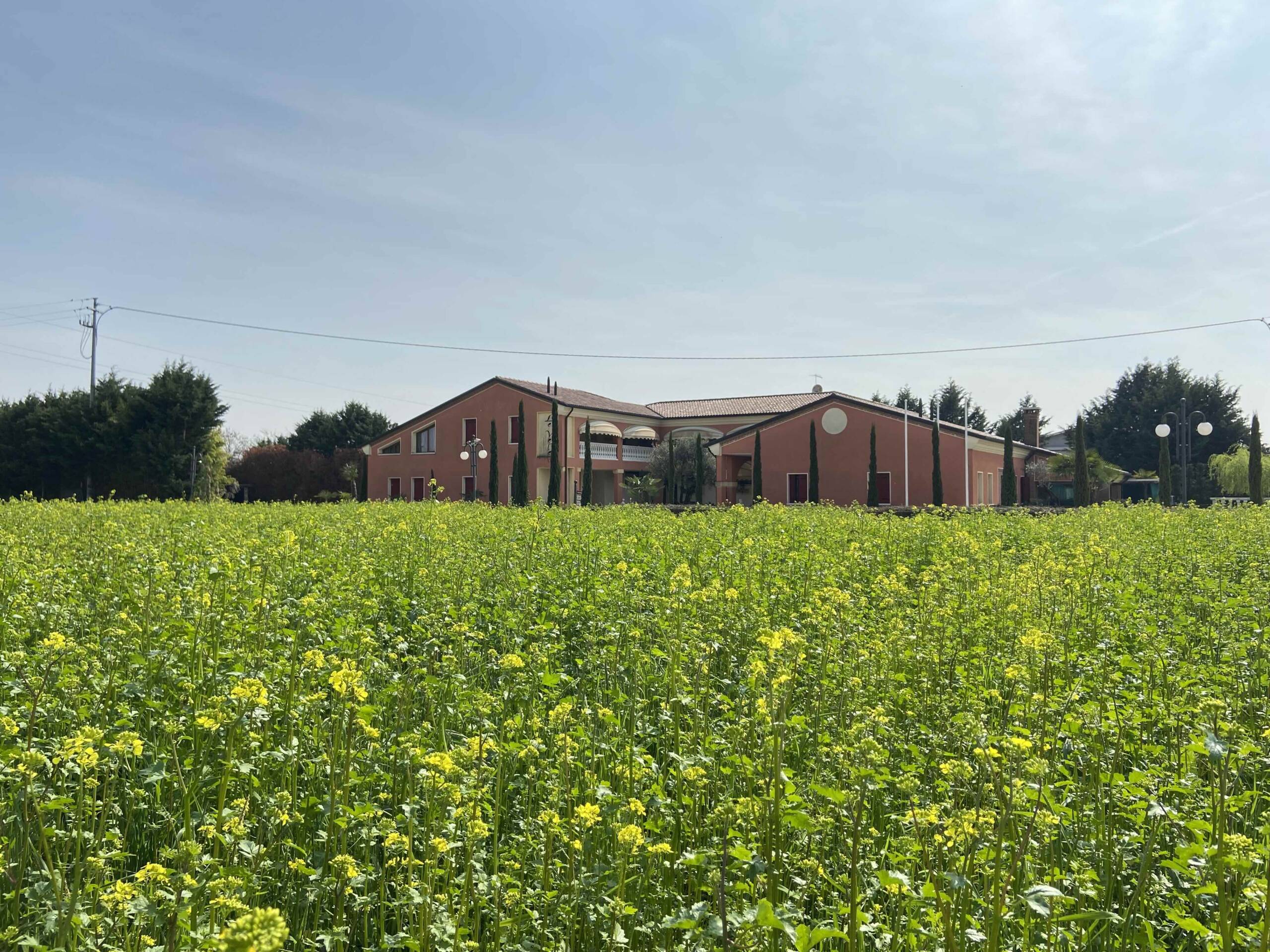 Agriturismo Le Vele foto 2