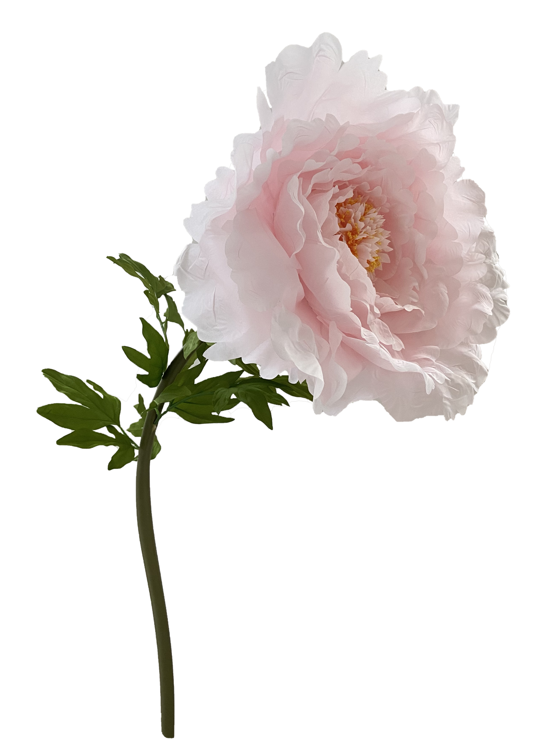Charme Flower Rooms foto 4