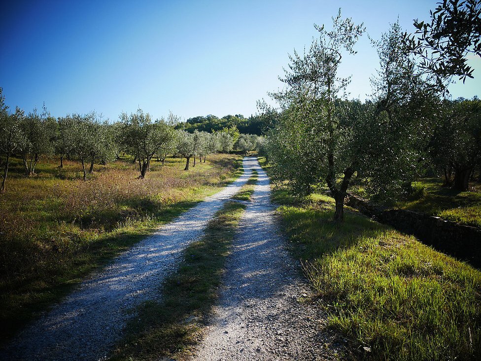 Agriturismo Montereggi foto 3