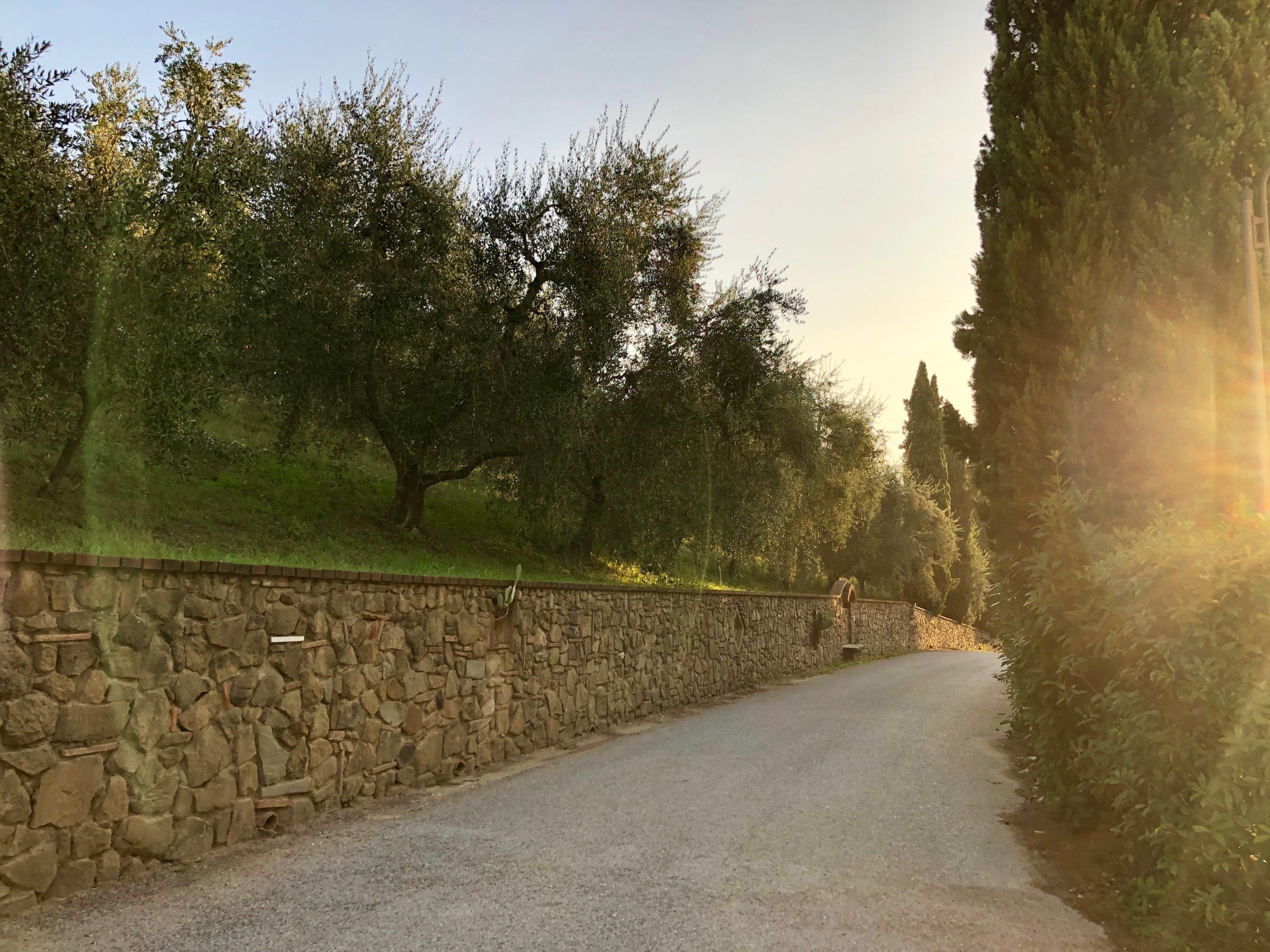 Agriturismo Il Piastrino foto 4