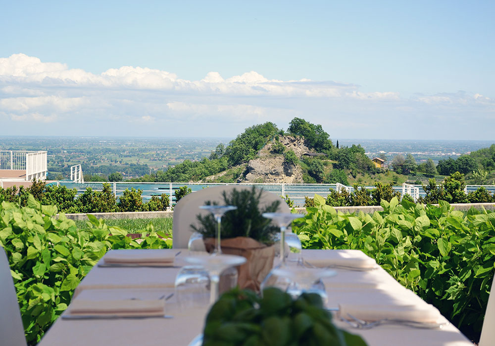 Pianderna Agriwellness foto 4