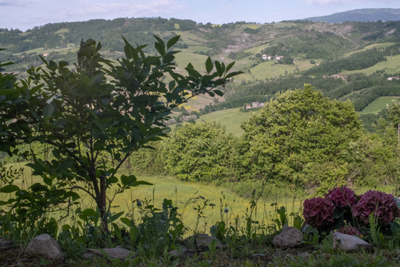 Agriturismo Il casale tosco-emiliano foto 6