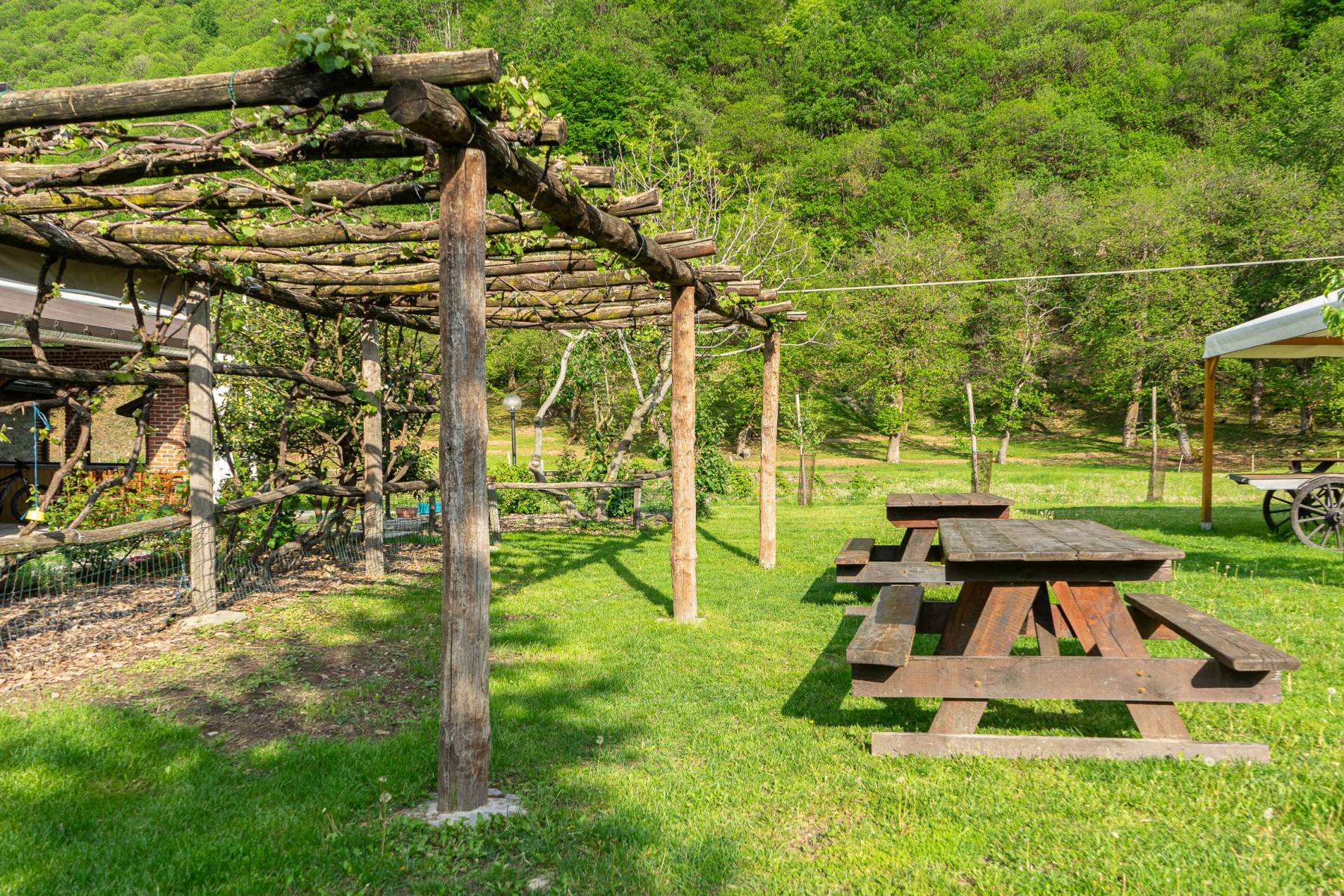 Agriturismo Cascina Veja foto 2