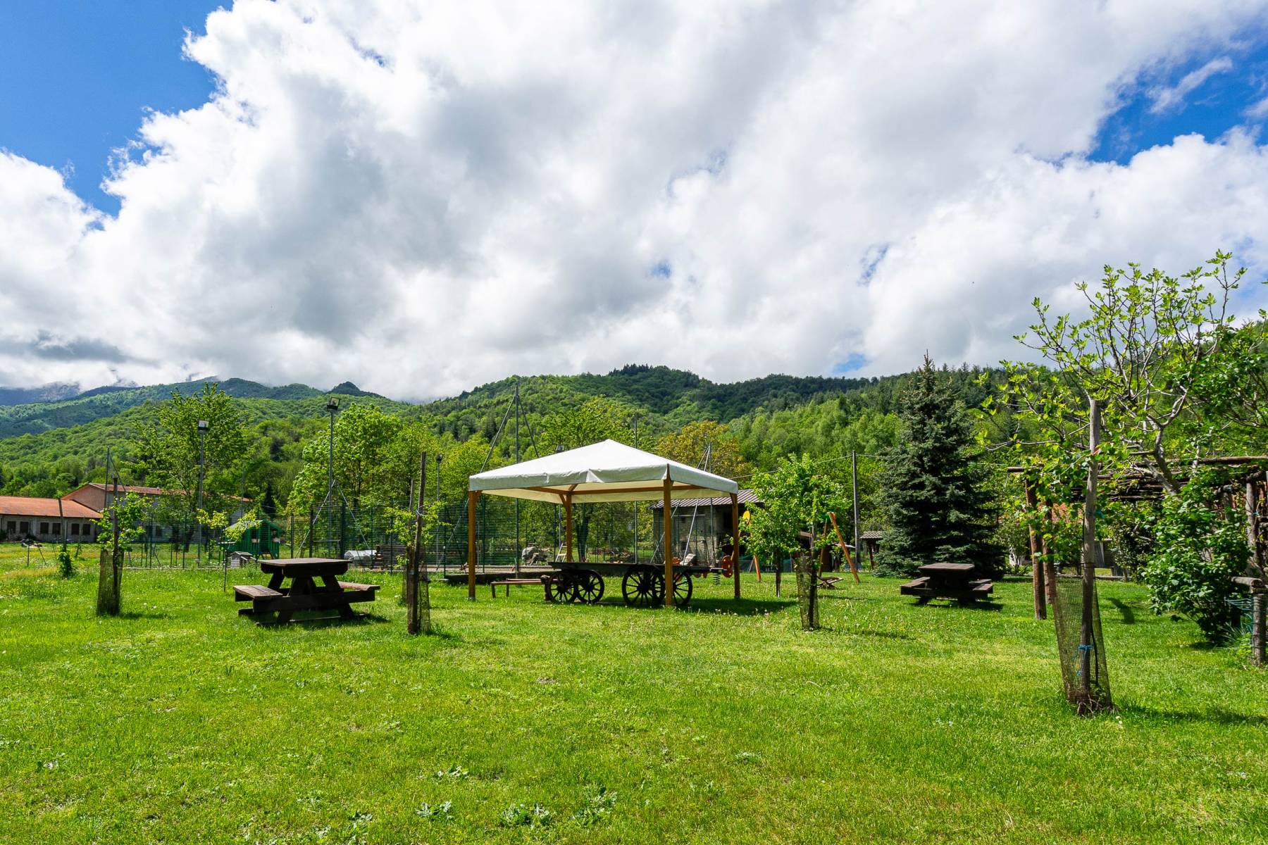 Agriturismo Cascina Veja foto 5