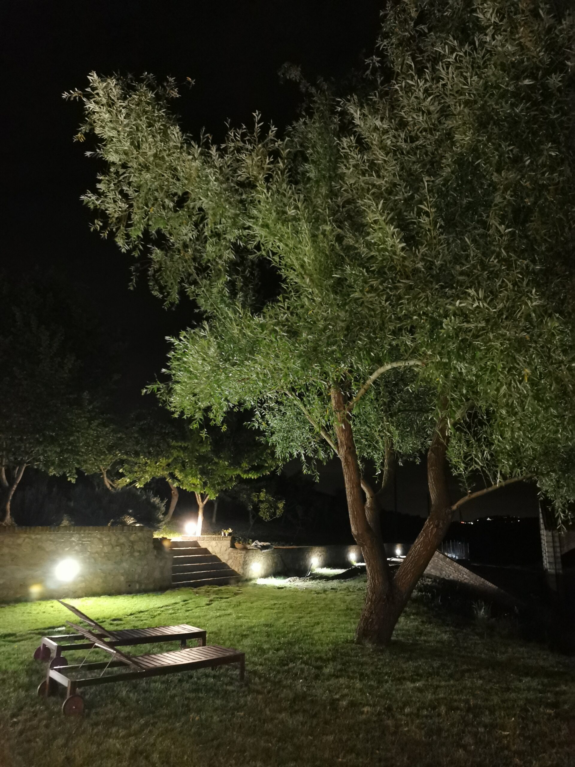 Agriturismo Airale foto 6