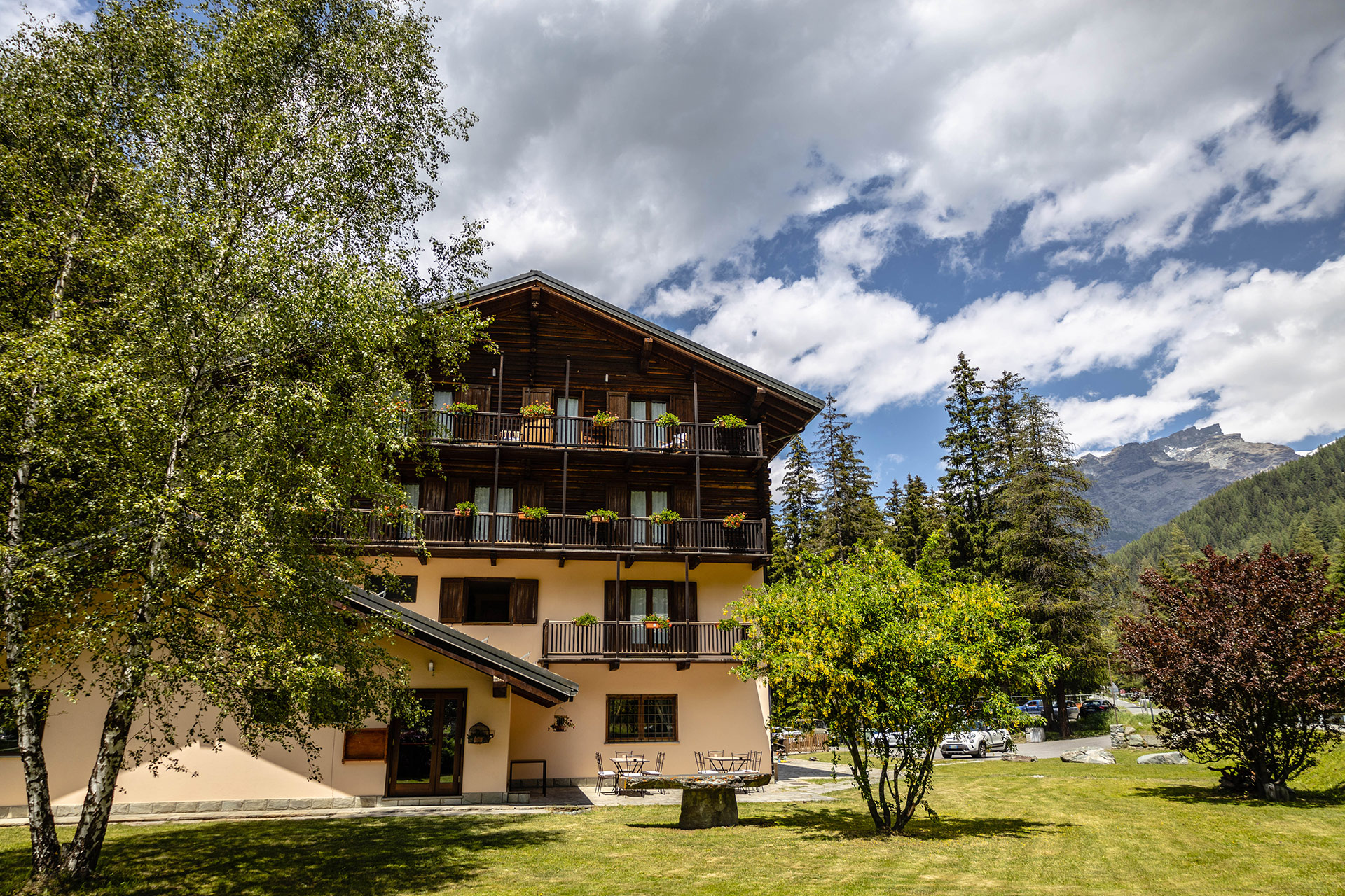 Alpine Forest Hotel foto 1