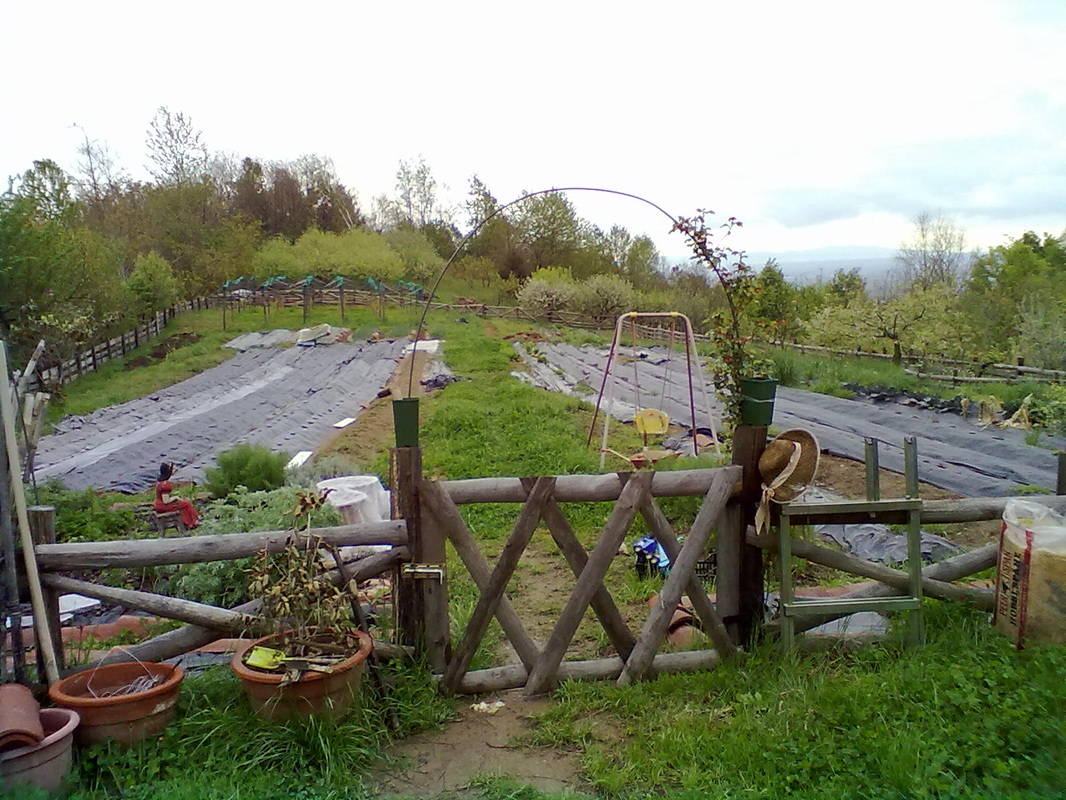 Agriturismo Terra di Mezzo foto 1
