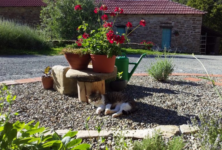 Agriturismo borghetto la radice foto 3