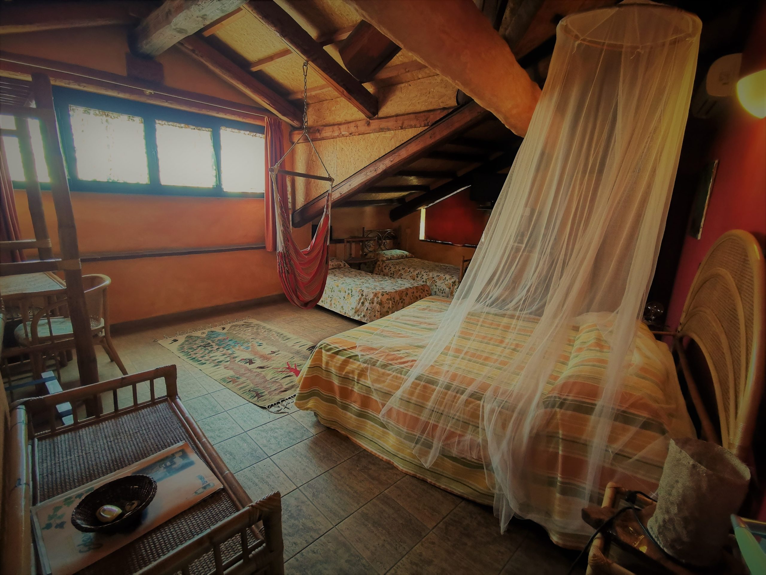 B&B Edera foto 5