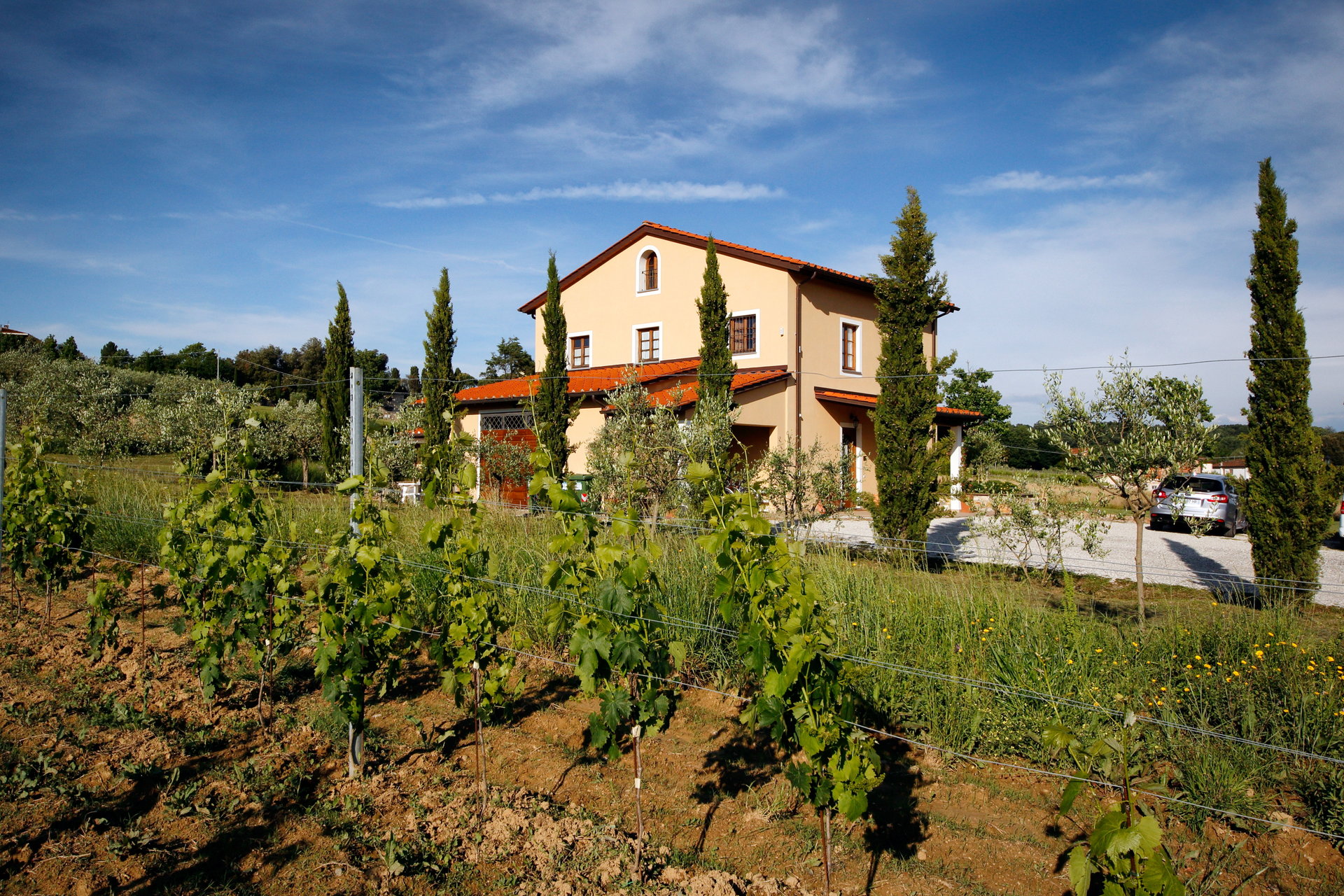 Agriturismo Agricampeggio Ai Linchi foto 5