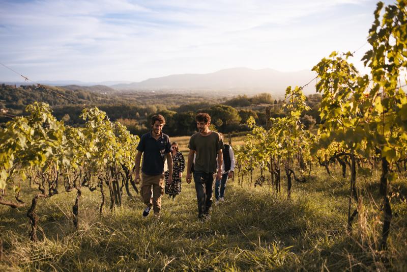 Agriturismo Fattoria Maionchi foto 6