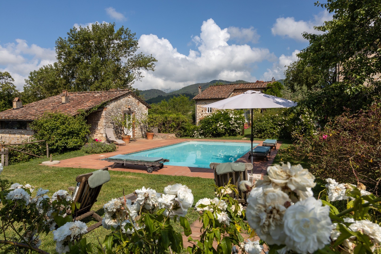 Agriturismo Podere Consani foto 4