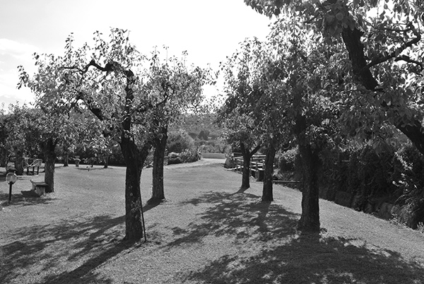 Agriturismo "Casale Le Fornaci" foto 6