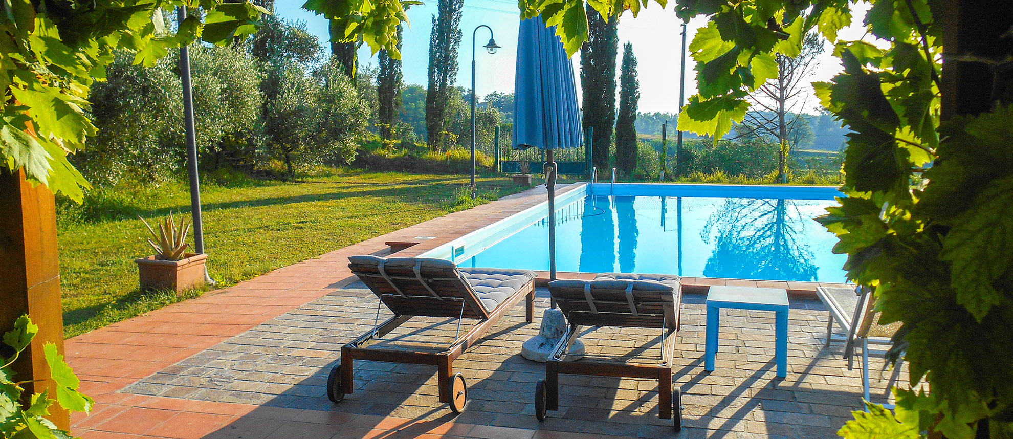 Agriturismo La Pineta foto 3