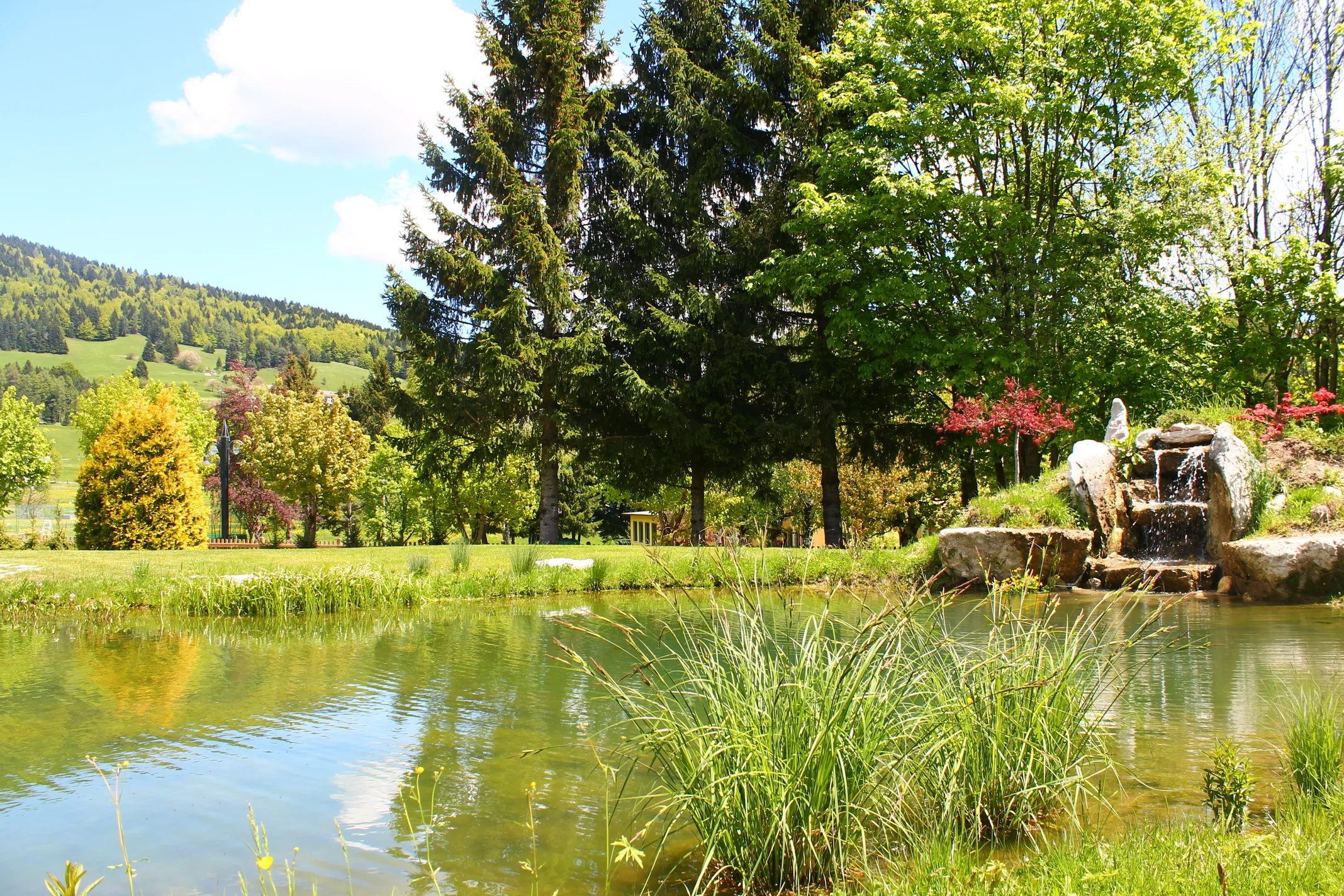 Alpen Hotel Eghel Resort & SPA foto 4