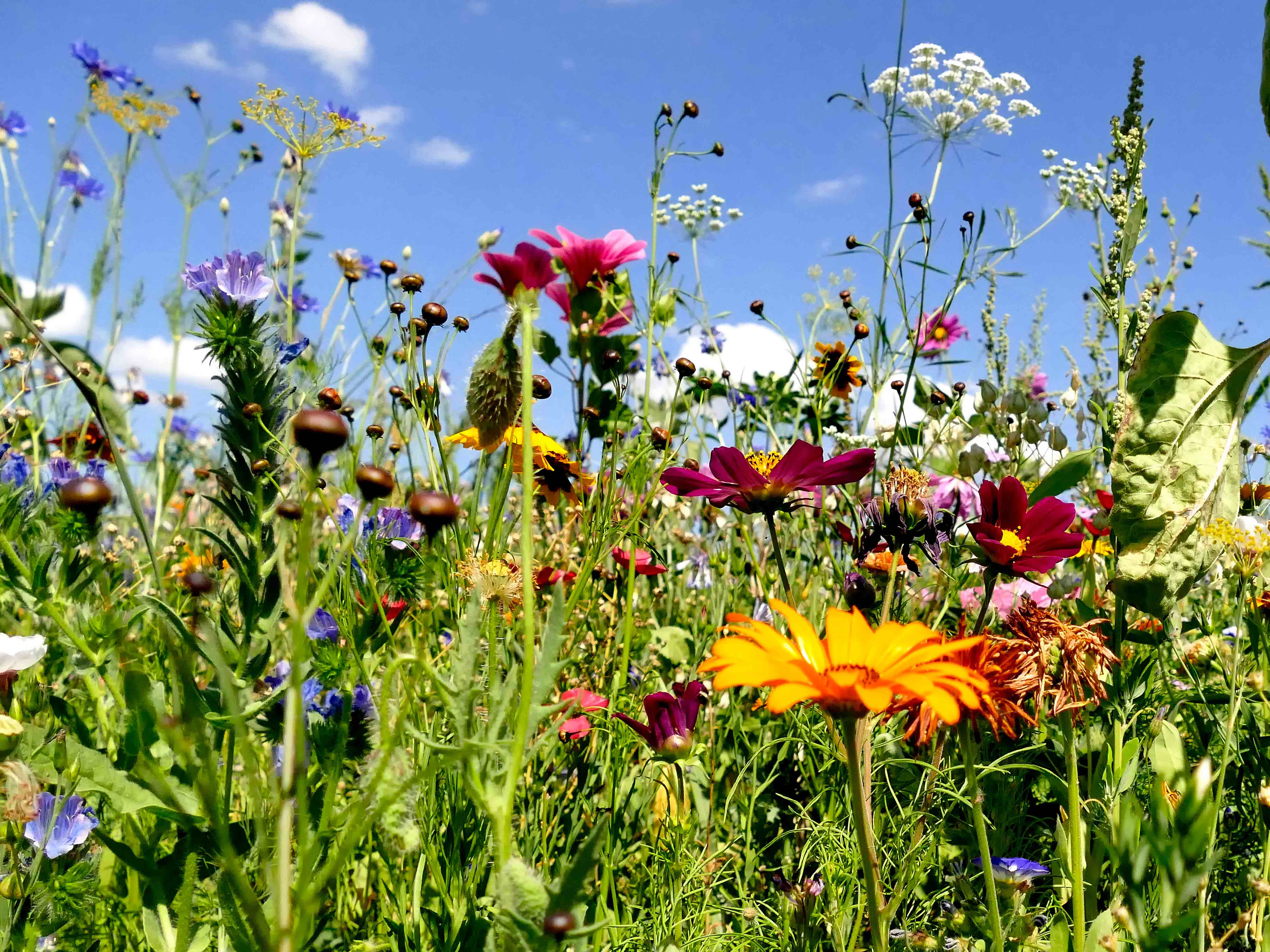 Dolomia Best Home foto 3