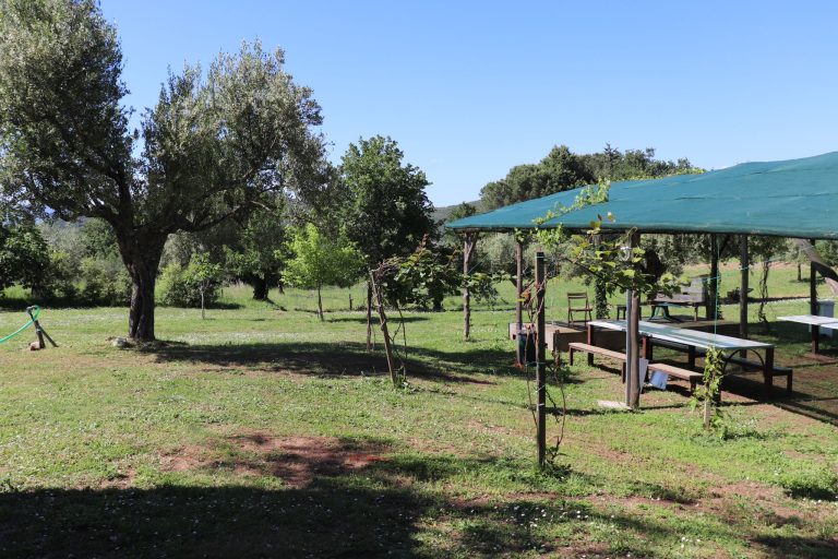 Villaggio Al Posto Giusto | Nature Retreat, Camping & Camper Area in Pietramelara, Campania foto 5