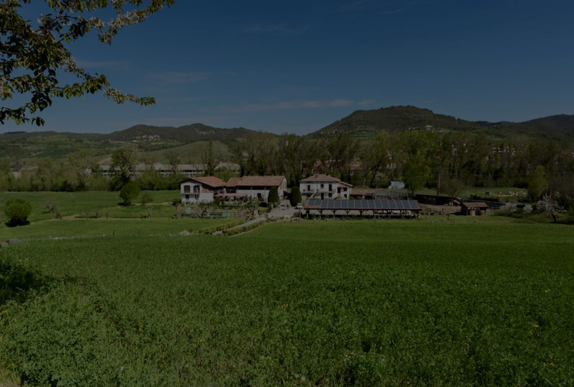 Agriturismo La Sorgente B&B VARZI foto 1