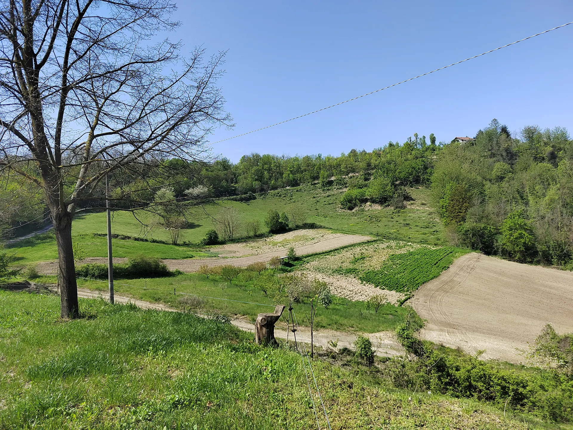 Agriturismo Bella Ciao foto 2