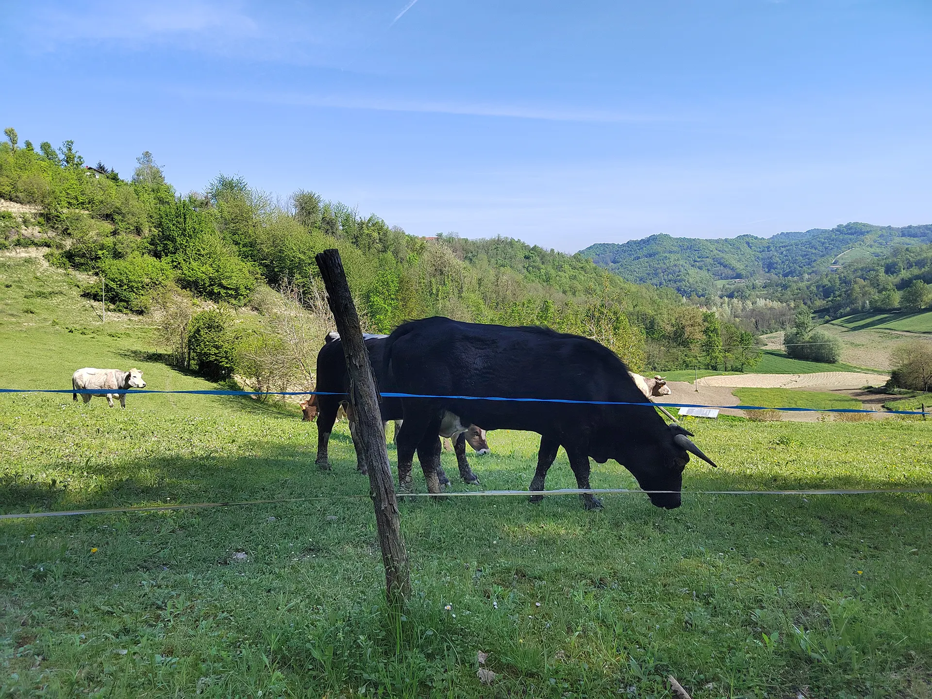 Agriturismo Bella Ciao foto 5