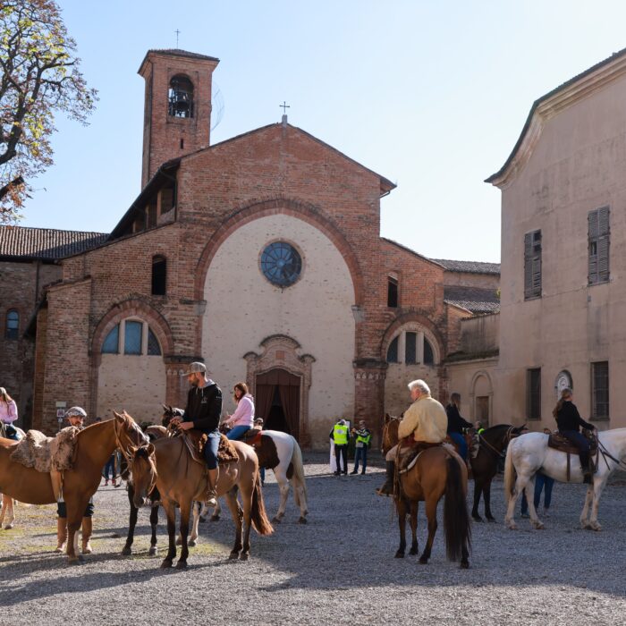 Azienda Agricola Scrivia/Cairo Horses/ Agriturismo Settimocielo foto 4
