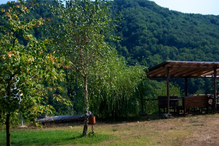 Agriturismo La Sereta foto 3